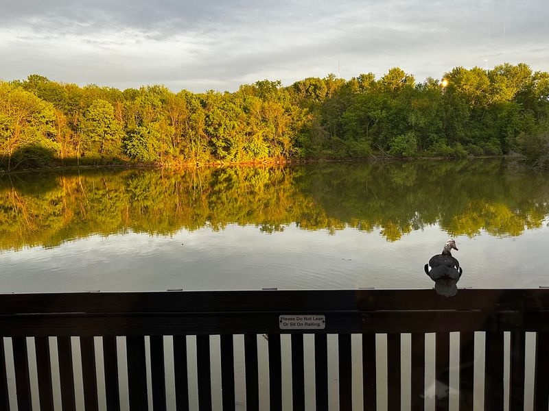 The Coosa River View That Changes Everything