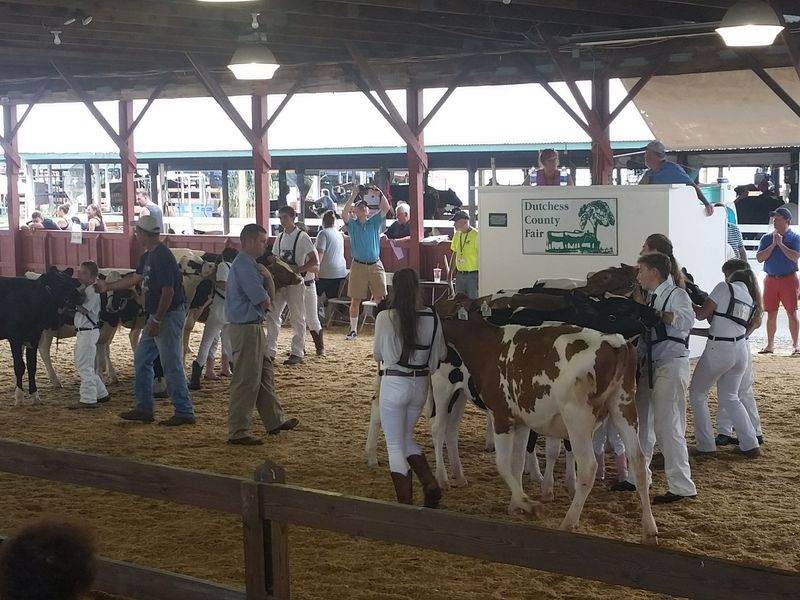 Rhinebeck Holds The Deed To This Late-Summer Tradition