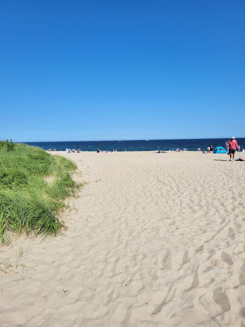 Dunes That Do More Than Look Pretty