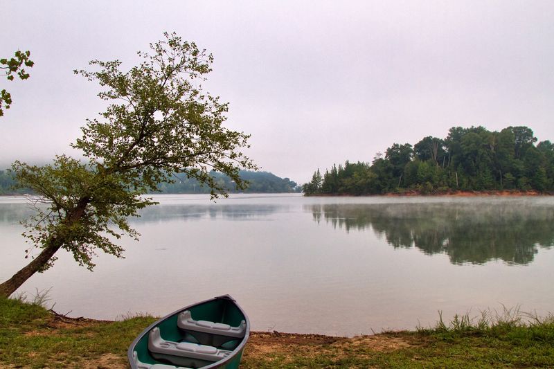 The Fishing Scene That Earns Its Reputation