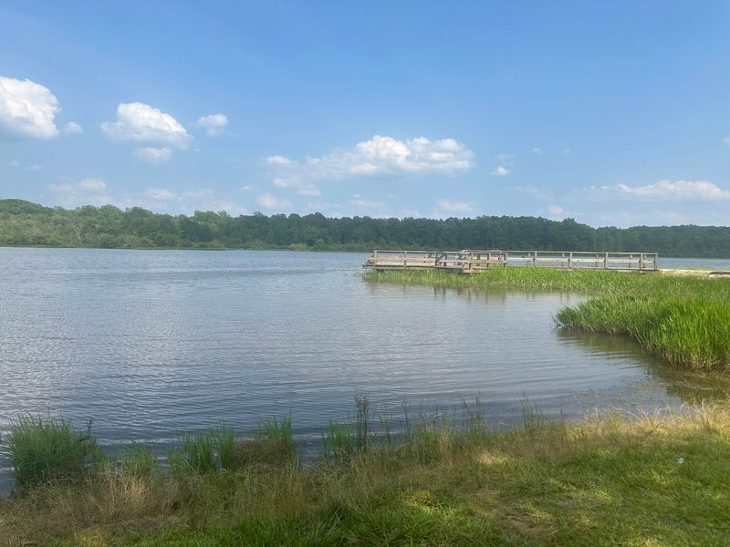 Chewalla Lake Recreation Area: The Place Itself