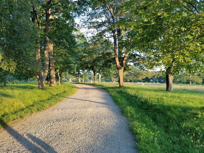 The Gentle Curve Of Carriage Paths