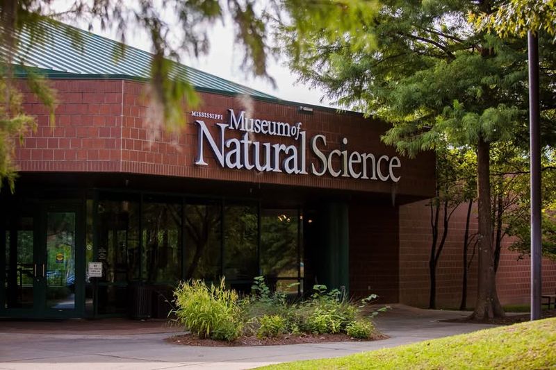 Mississippi Museum Of Natural Science And Where To Find It