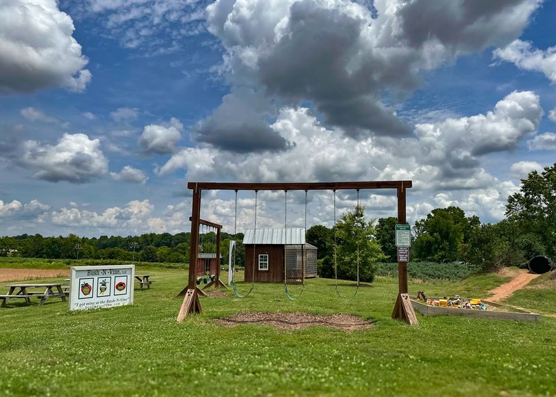 Corn Pits, Slides, And Room For Kids To Run