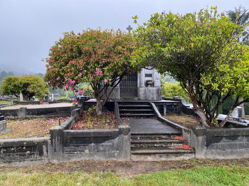 Historic Cemetery Chronicles Local History