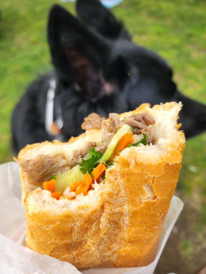 Seafood And Meats From Regional Suppliers