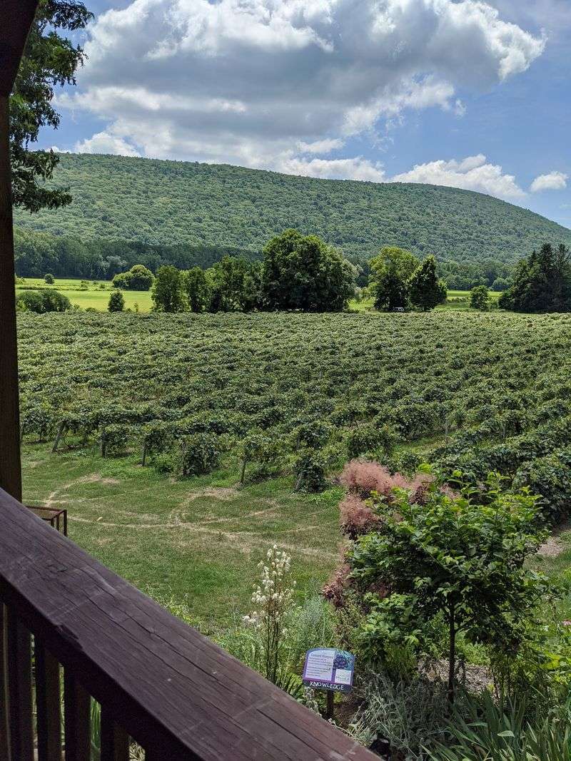 Naples, New York Is The Town You Never Knew You Needed
