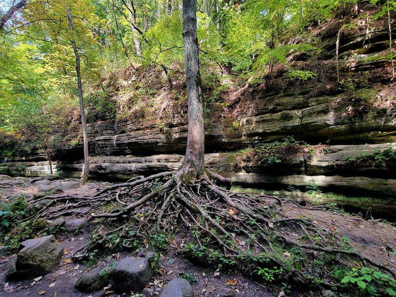 Trails For Every Comfort Level