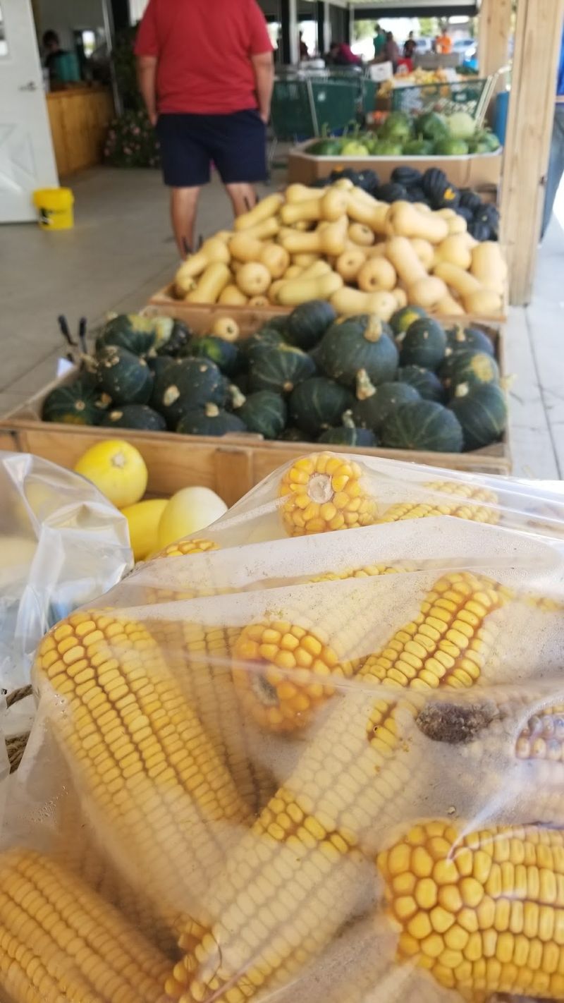 Sweet Corn Worth Planning Your Week Around