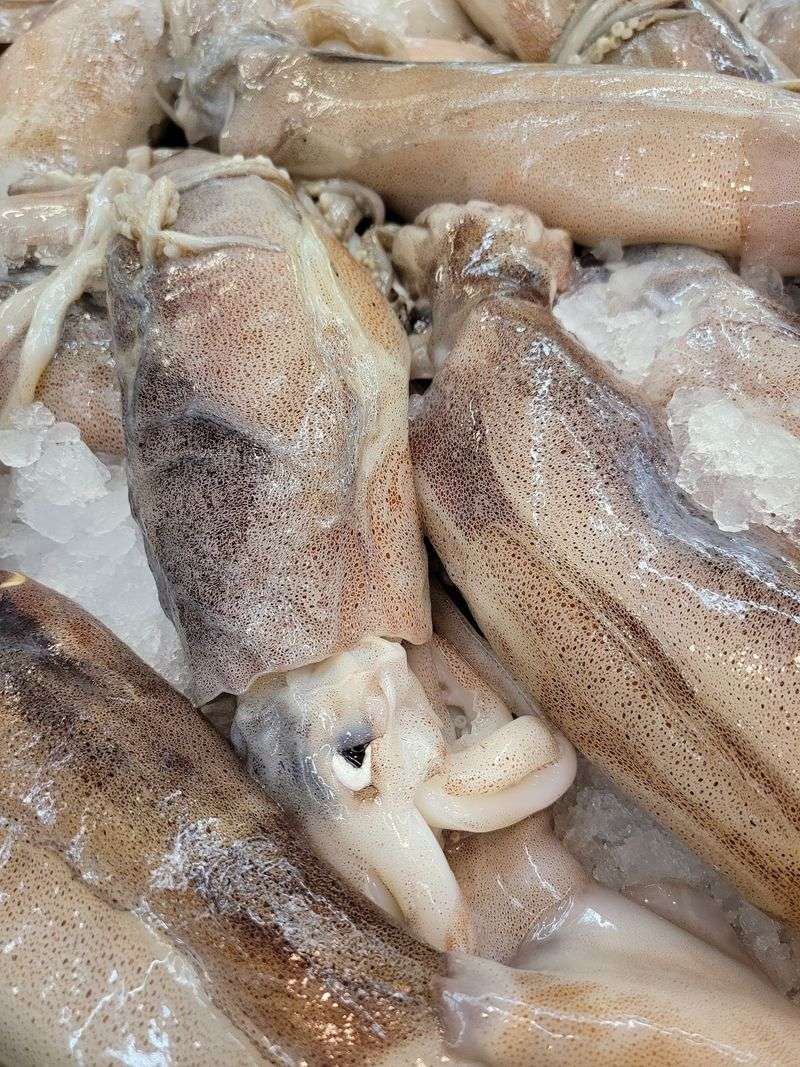 Live Seafood Options That Bring The Ocean To Your Table