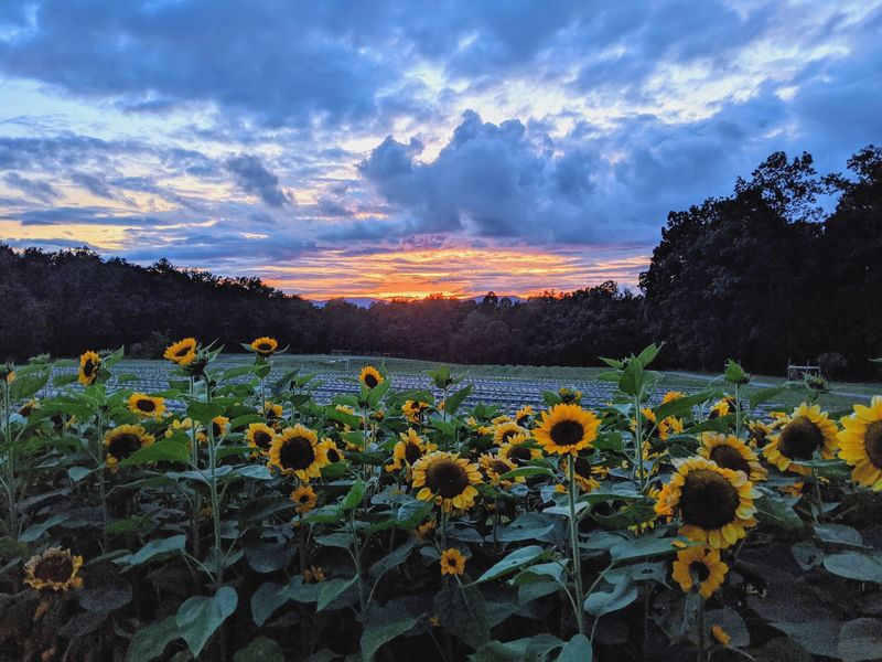 Flat Mountain Views That Steal The Show