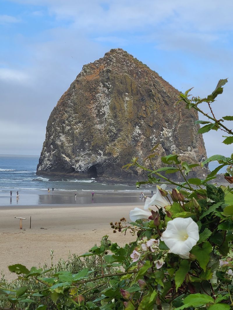 Where History Meets The Shore