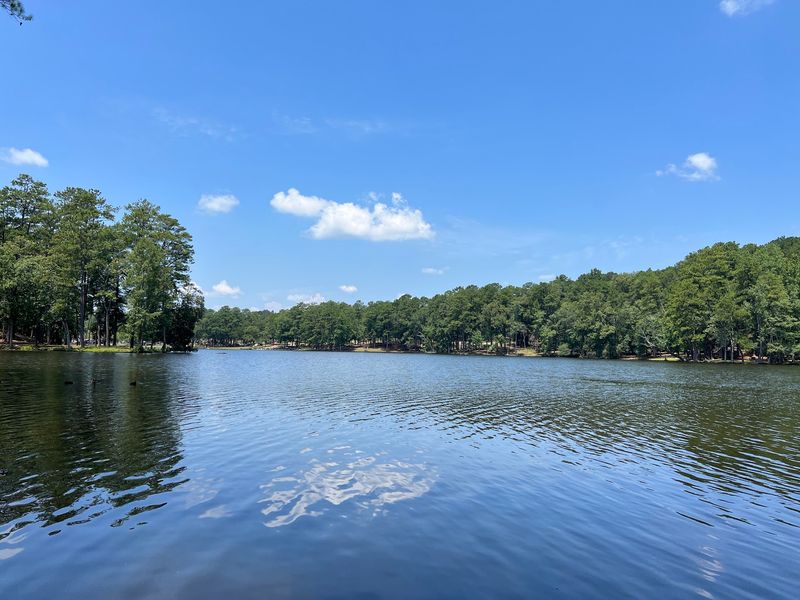 Clarkco State Park: The Place Worth Knowing By Name