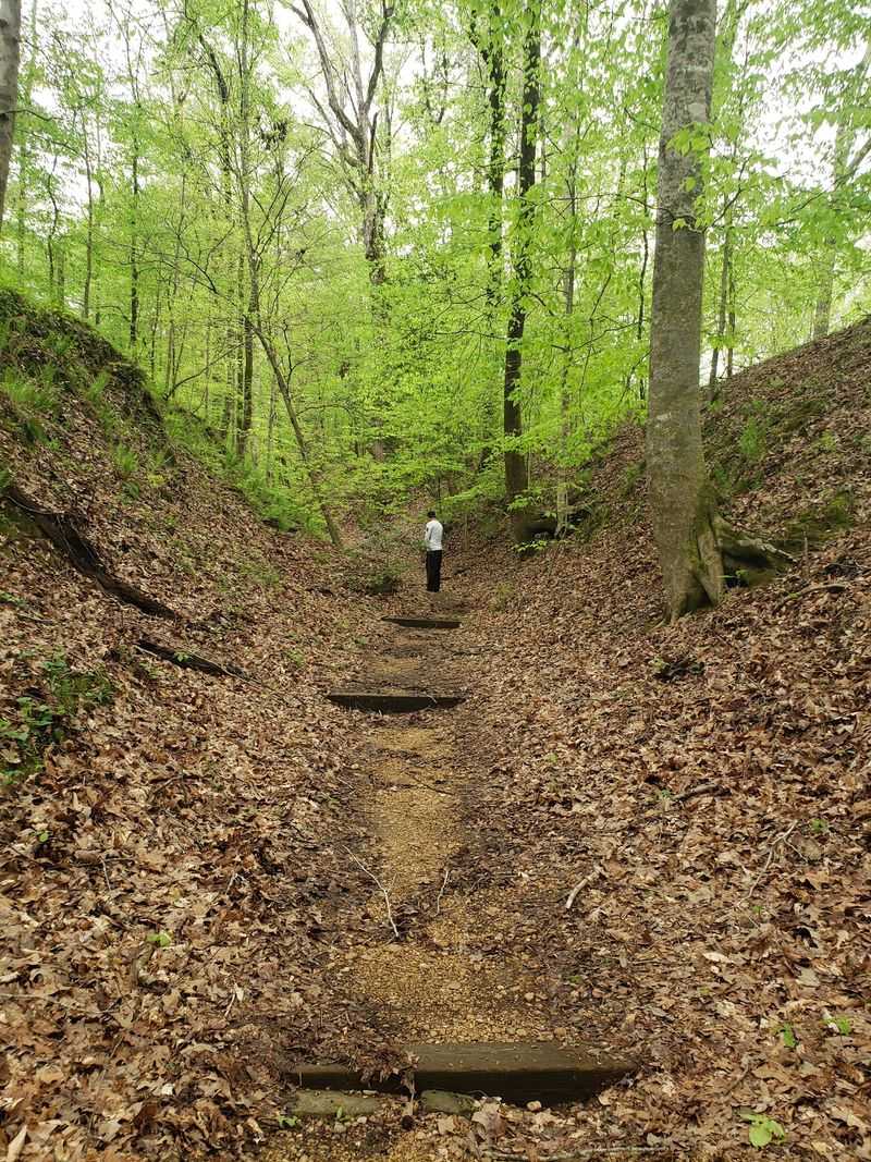 Finding Rocky Springs On The Parkway