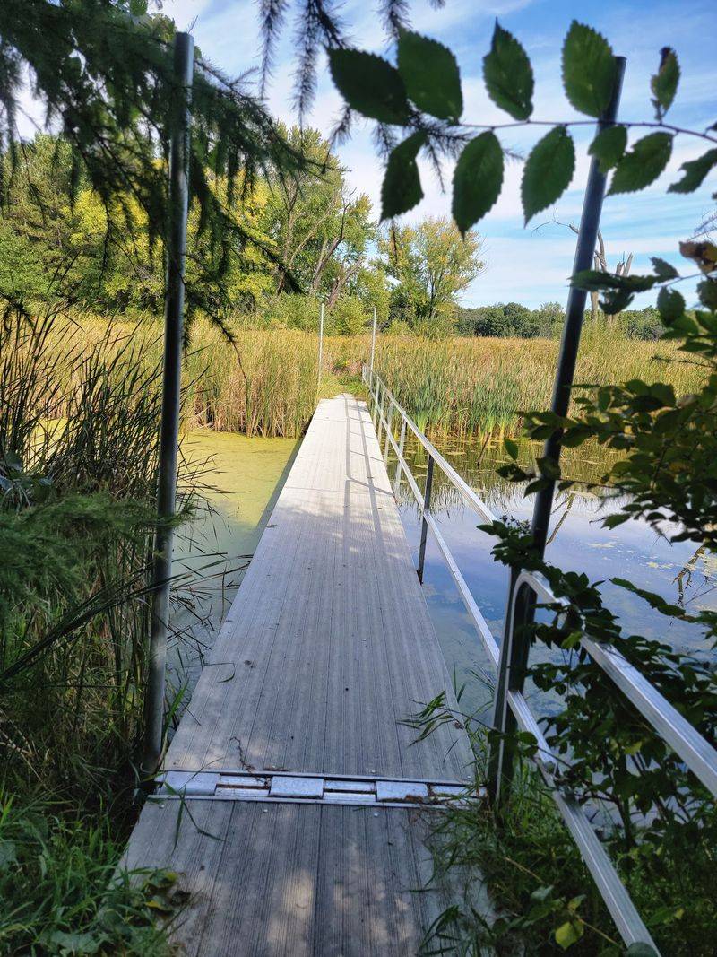 A Peaceful Urban Escape That Surprises Every Visitor