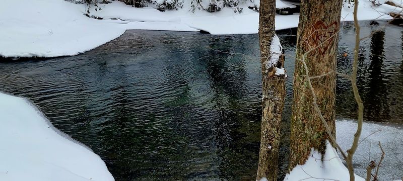 Brace Yourself, The Water Is Freezing