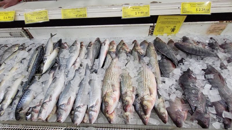 Fresh Seafood Counters Worth Studying