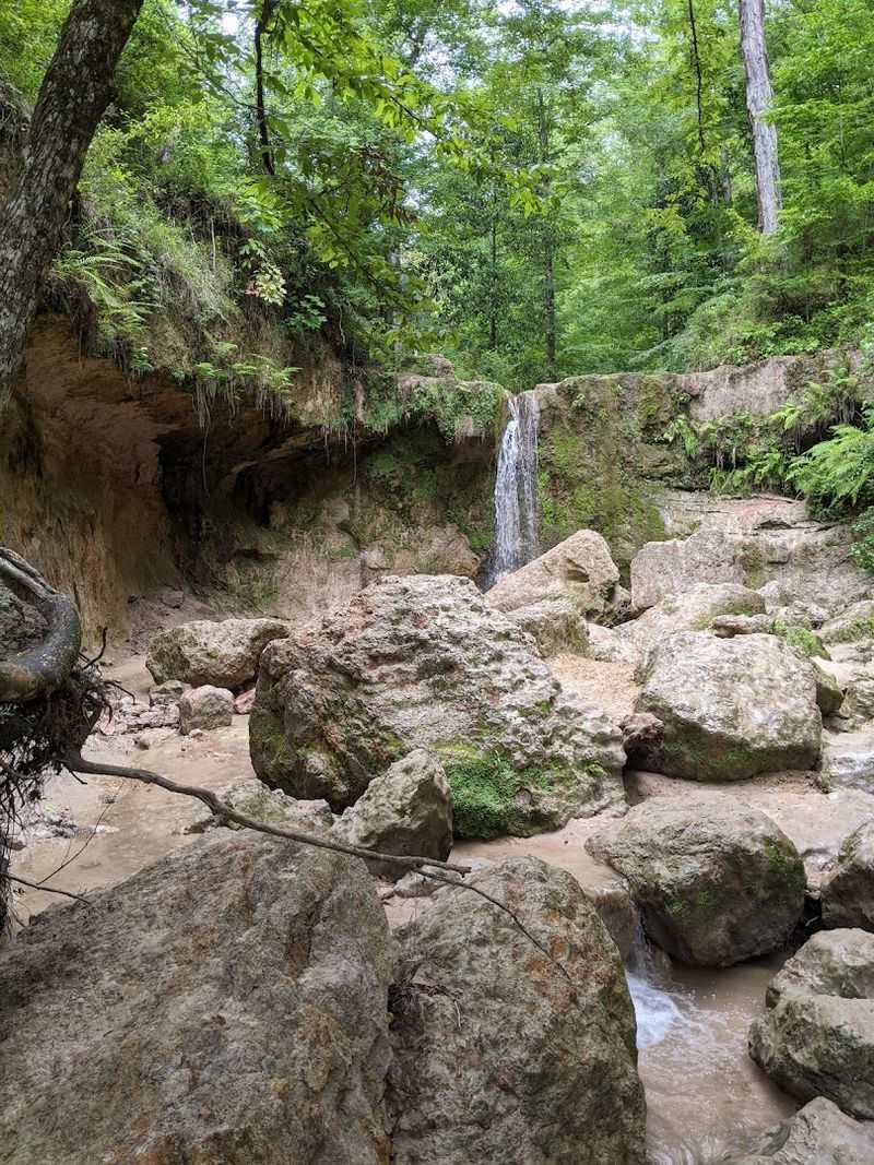 Clark Creek Natural Area: The Address Of Adventure