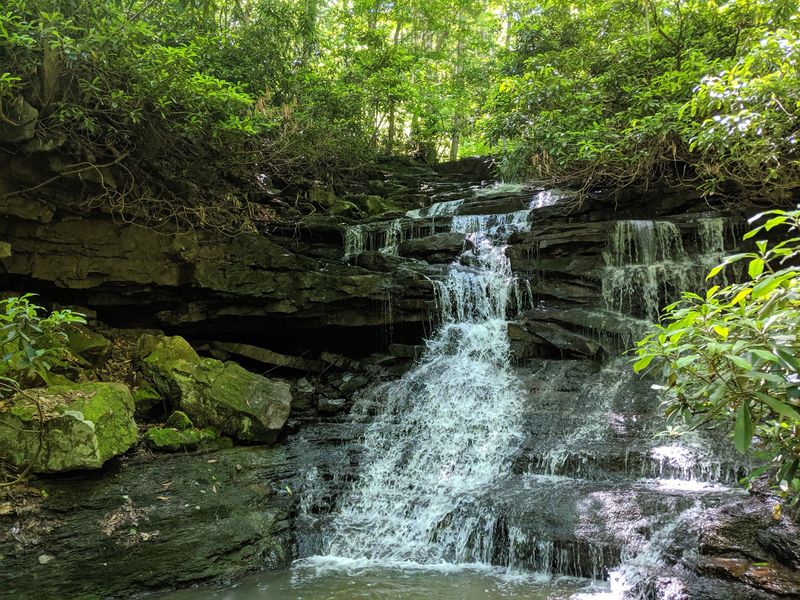 79 Miles Of Trail Magic