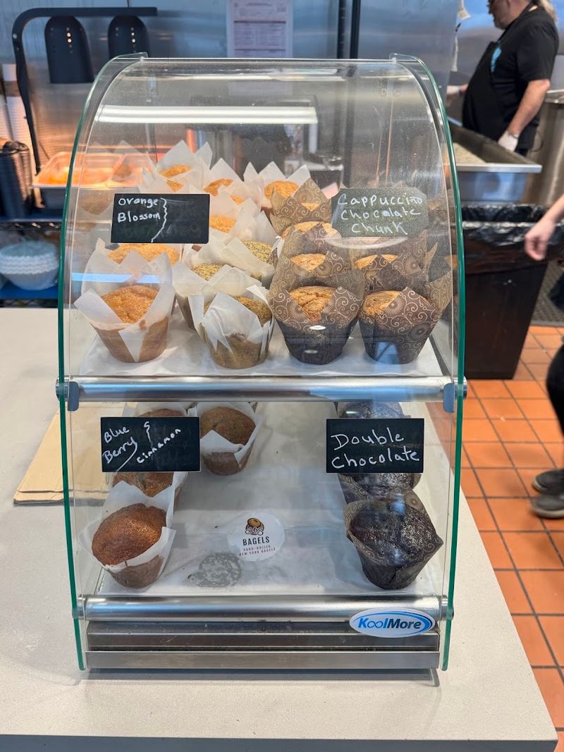Exploring Diverse Menu Options