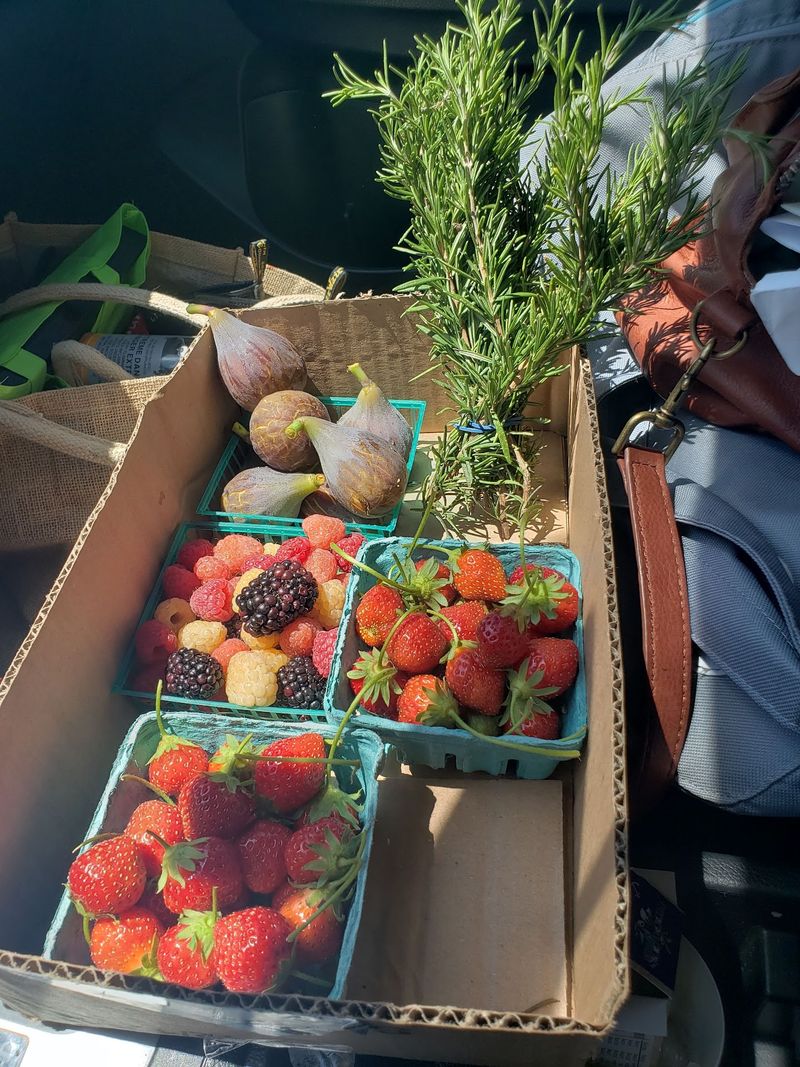 Strawberries Worth The Drive