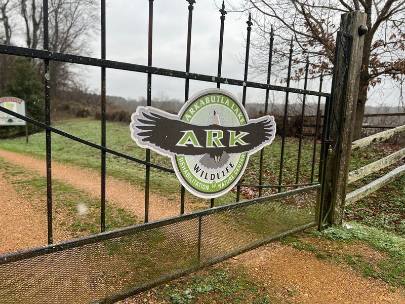 Finding The ARK Off Highway 304