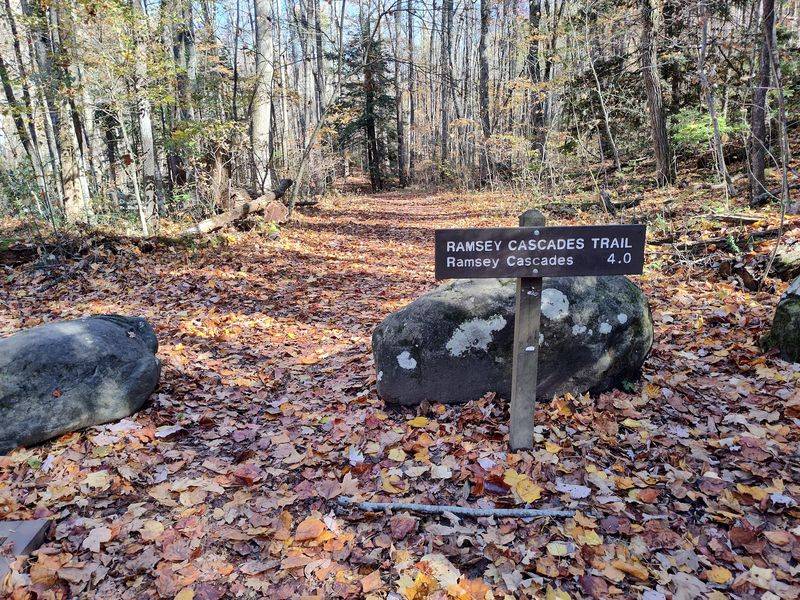 Ramsey Cascades Trail, Greenbrier