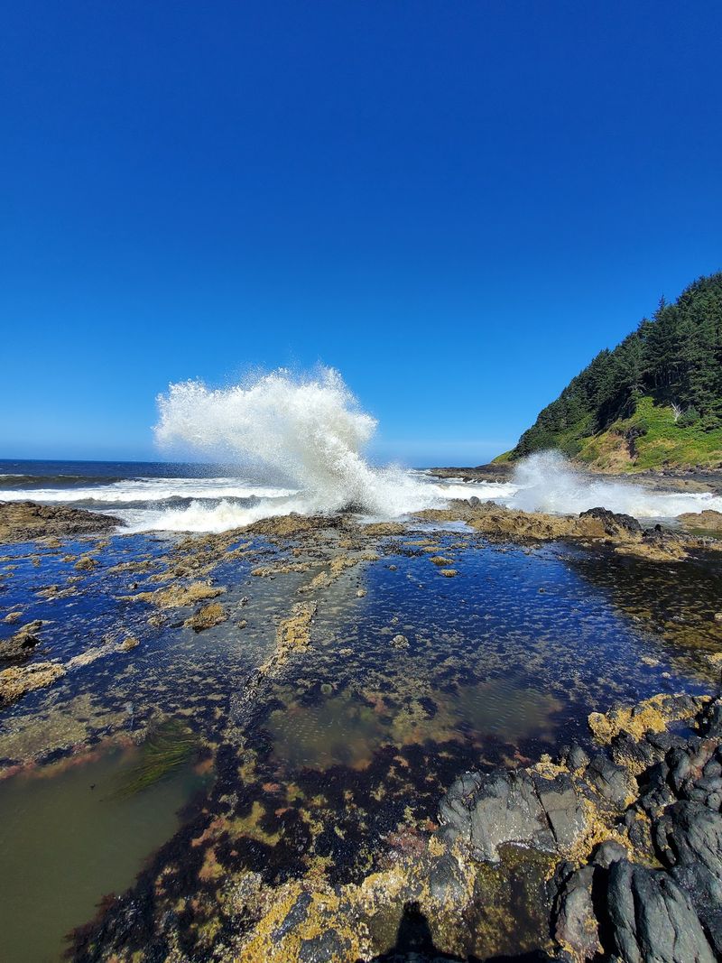A Coastline Unlike Any Other In Oregon