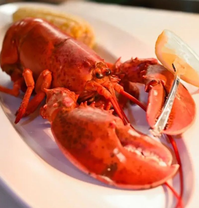 Whole Maine Lobster Creates The Ultimate Seafood Splurge