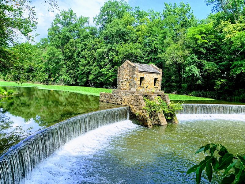 Speedwell Lake Park 