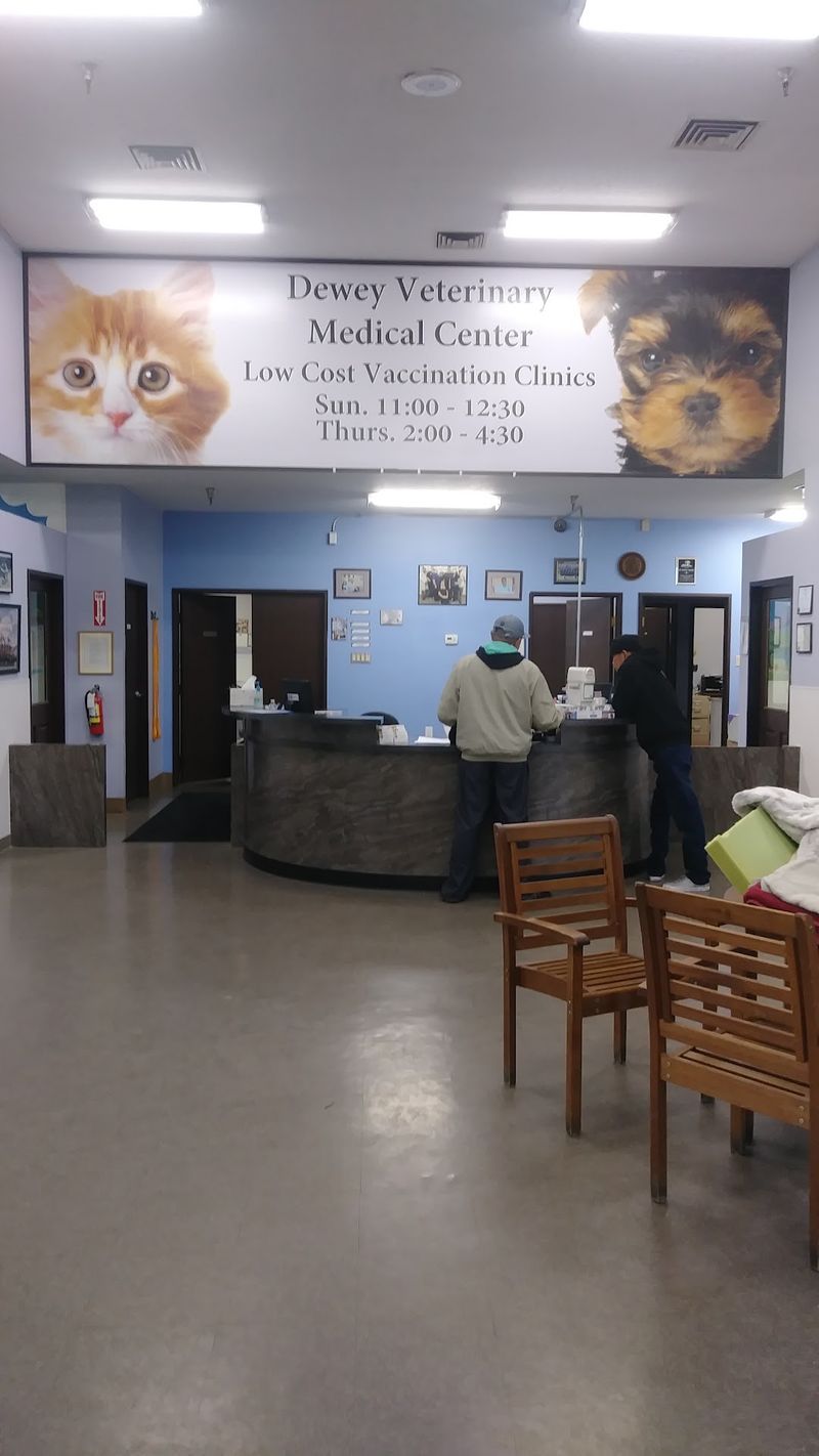 A Thoughtful Promise Centered On Animal Care