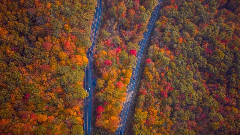 One Of America's First Scenic Driving Roads