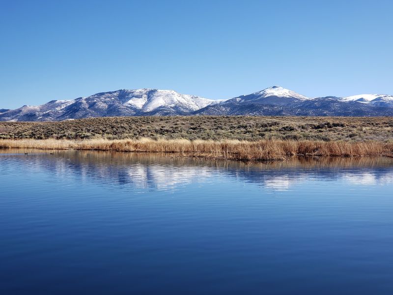 Fishing Holes, Elk Country, And A Scenic Loop