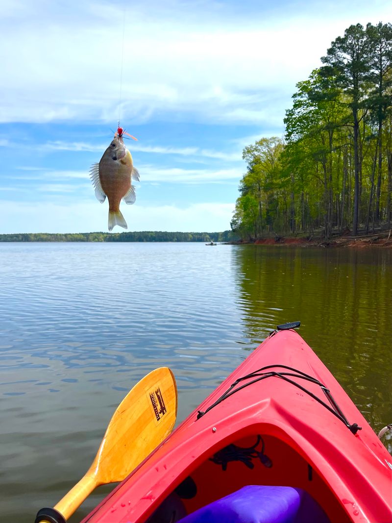 Why Water Quality Sparks So Much Anger