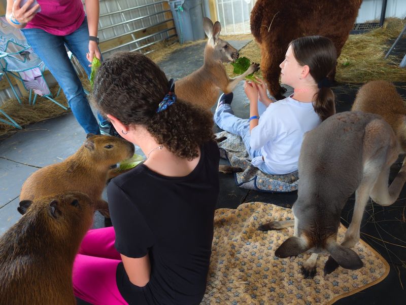 Engaging Encounters With Exotic Residents