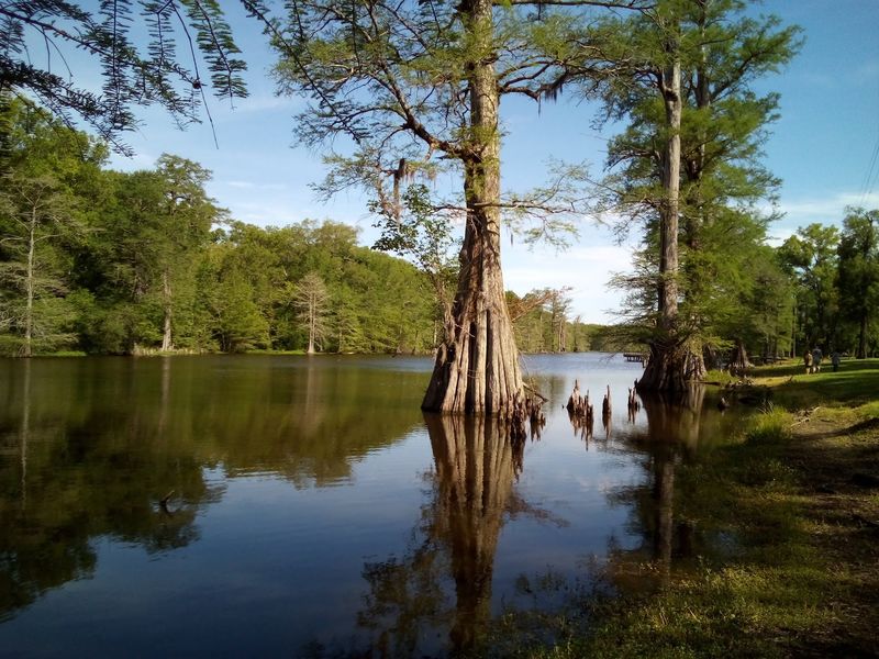 Artesian Springs Running Quietly Underfoot