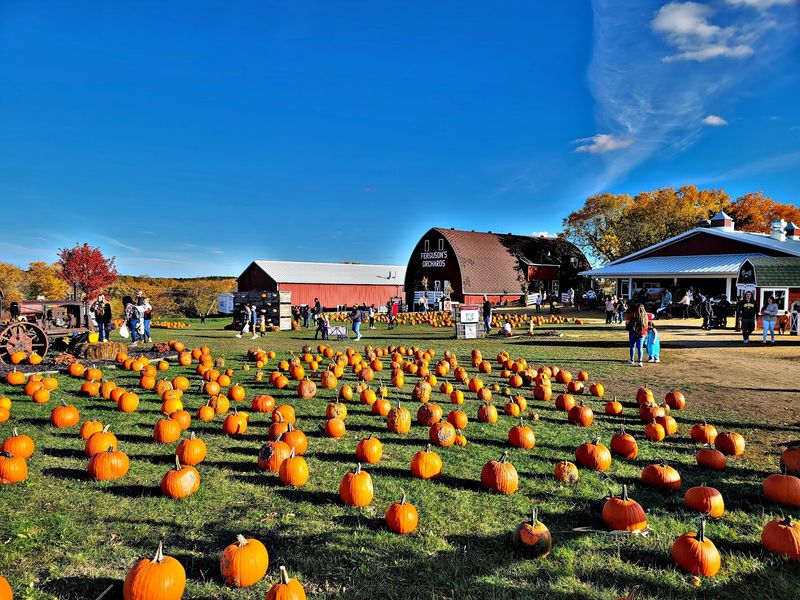 Ferguson's Orchards Combines Apple Country With Pumpkin Season Near Eau Claire