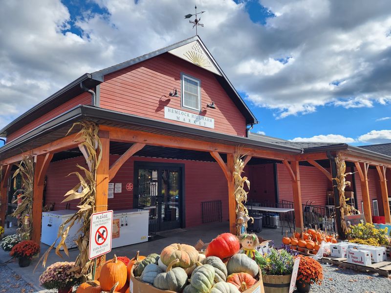 Hemlock Hill Farm - Cortlandt Manor