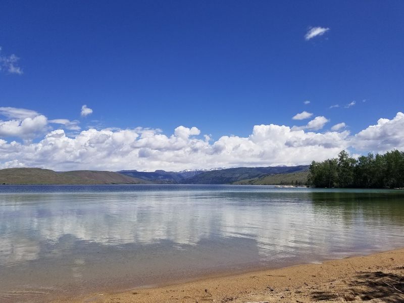 Moose And Eagles May Join Your Day By The Shore