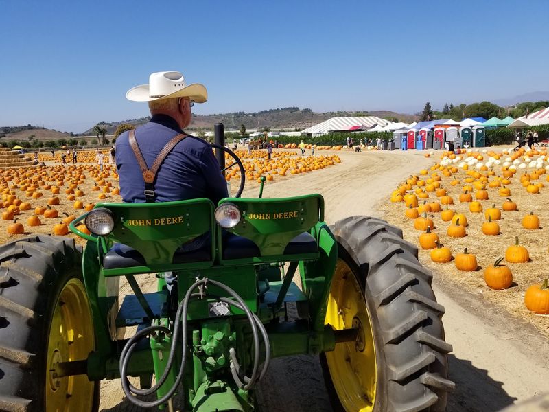 Tractor Wagon Rides Through The Crops