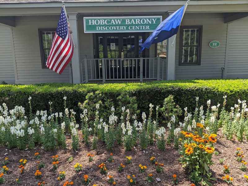 Hobcaw Barony's Quiet Research Reserve