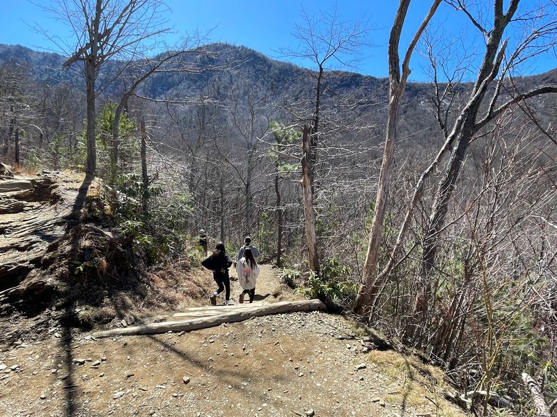 Rainbow Falls Trail, Gatlinburg