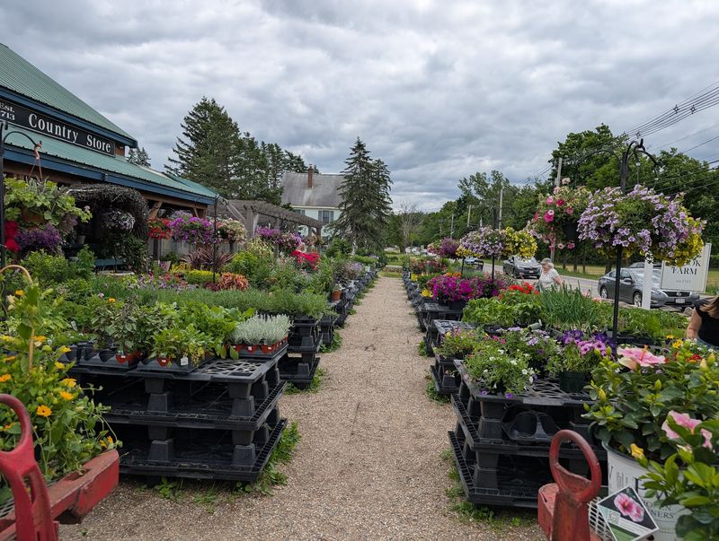 Make Your Stop Here Count With These Tips