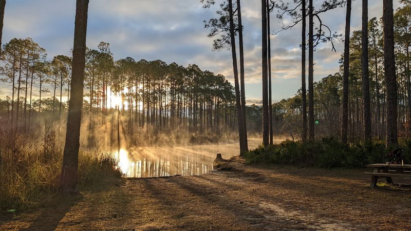 New River Primitive Campsite 8 West Near Carrabelle
