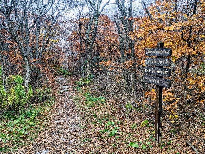 Cheshire Harbor Trail, Mount Greylock State Reservation, Adams