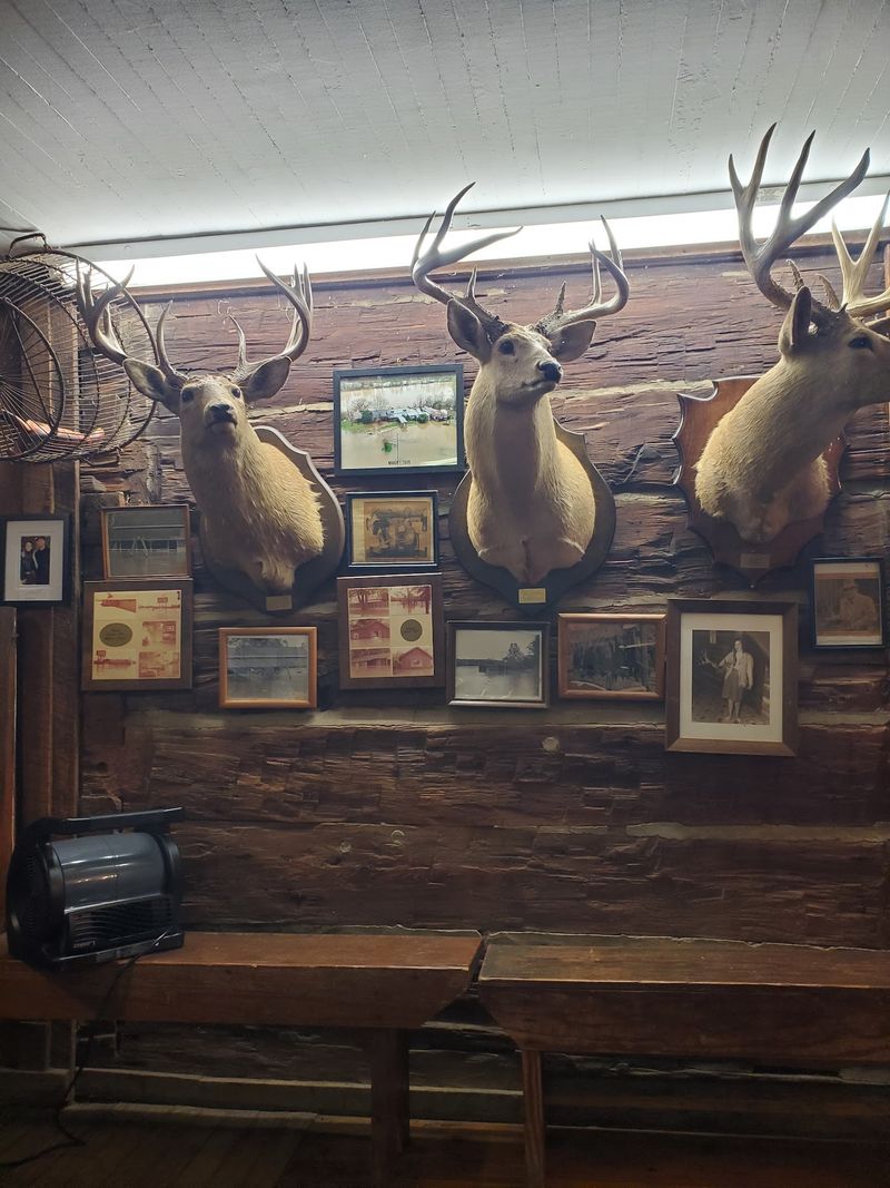 Walls Covered In History And Mounts