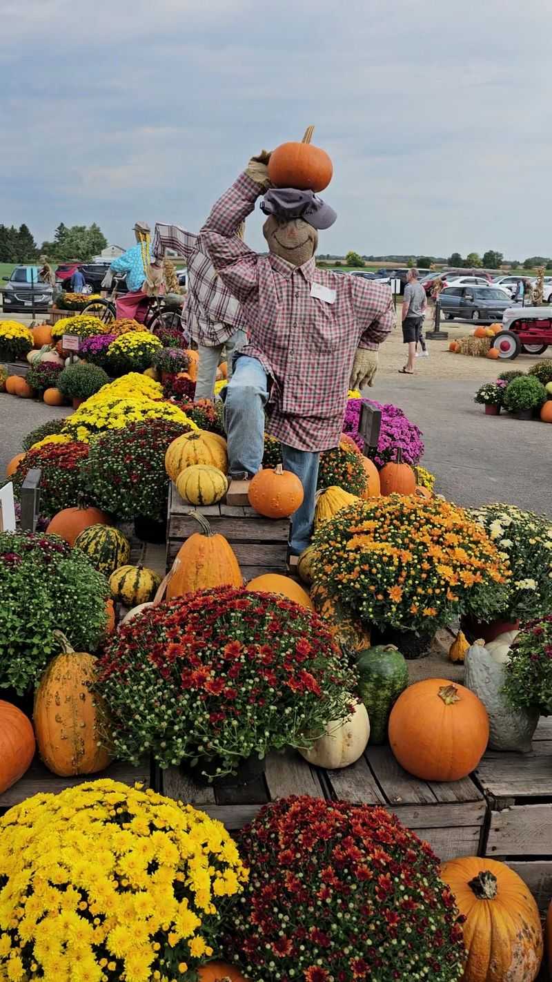 Sunflowers, Pumpkins, And Photo Spots Everywhere