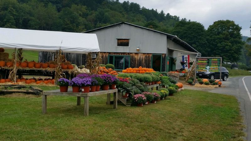 Parsons Family Farmstand, Colrain