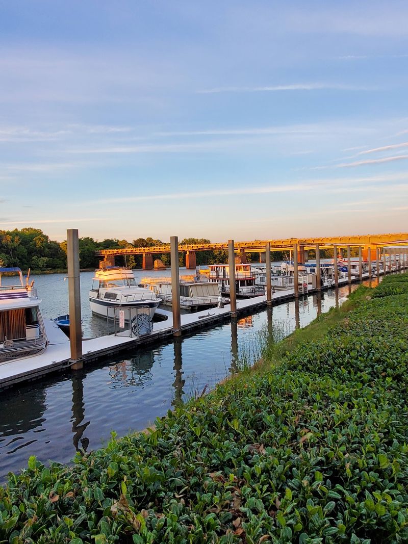 The Savannah River Sets The Pace