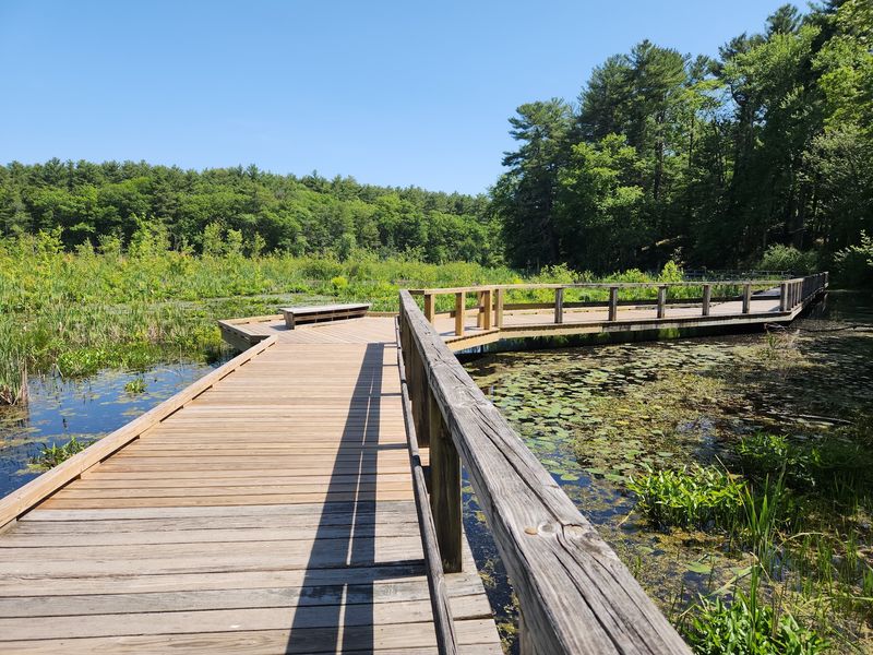 Broadmoor Wildlife Sanctuary, Natick